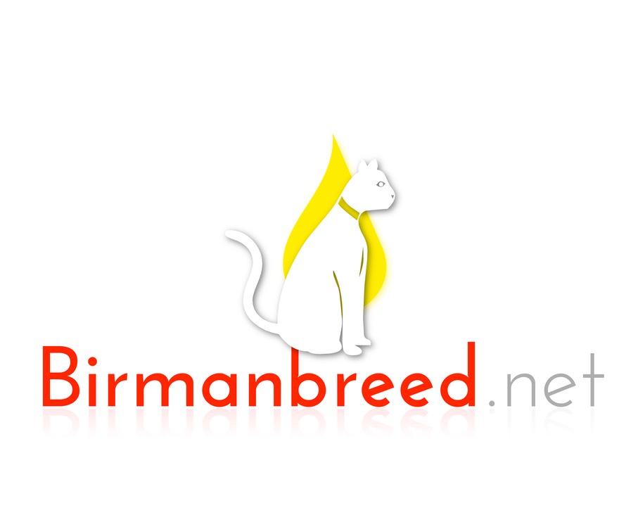 Birmanbreed